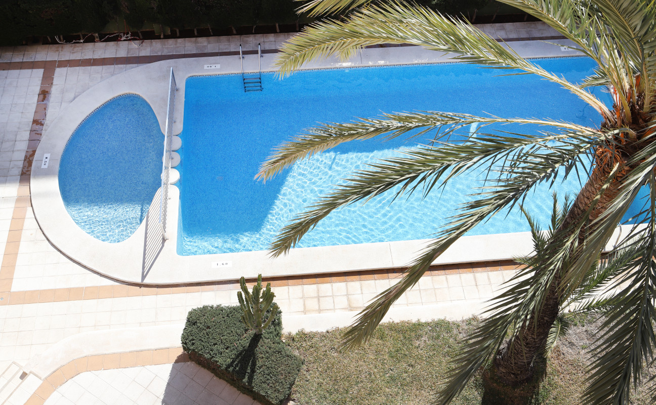 Piscina y jardin de La Caseta en Benidorm.