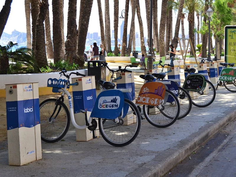 Bicidorm al parc d'Elx, Benidorm