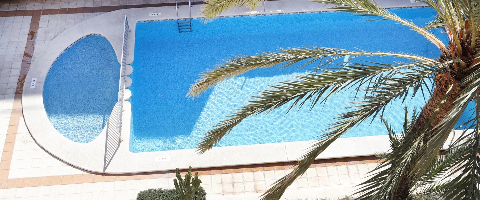 Swimming pool view